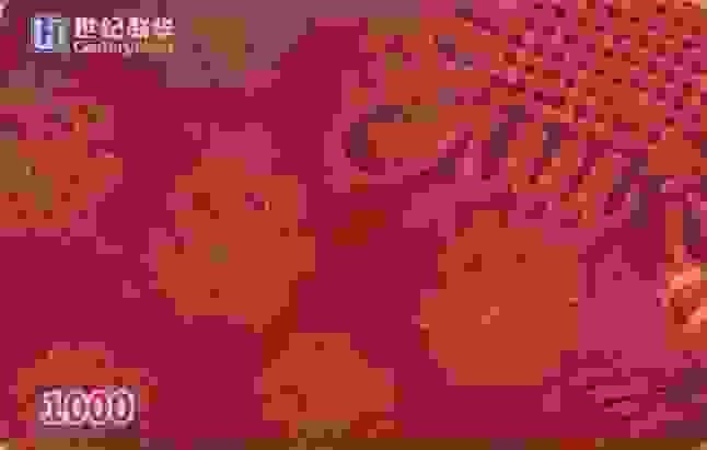 世纪联华